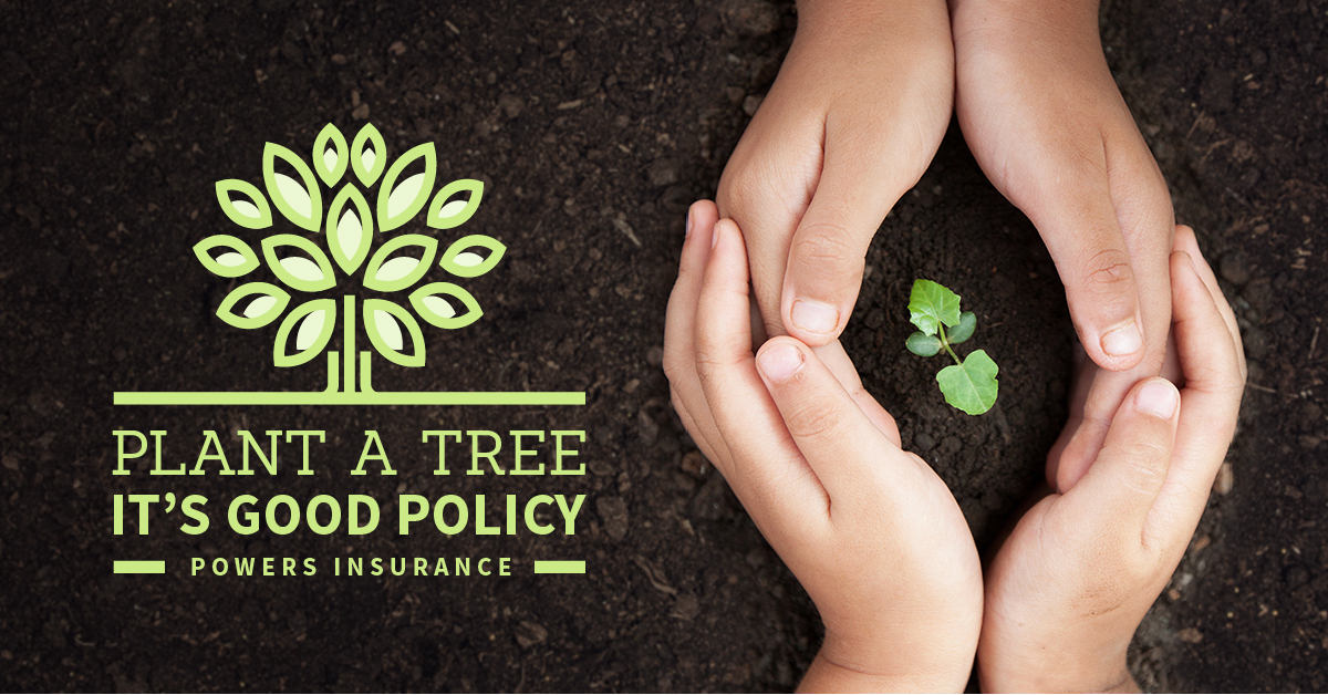 Powers Insurance plants a tree for every new client.