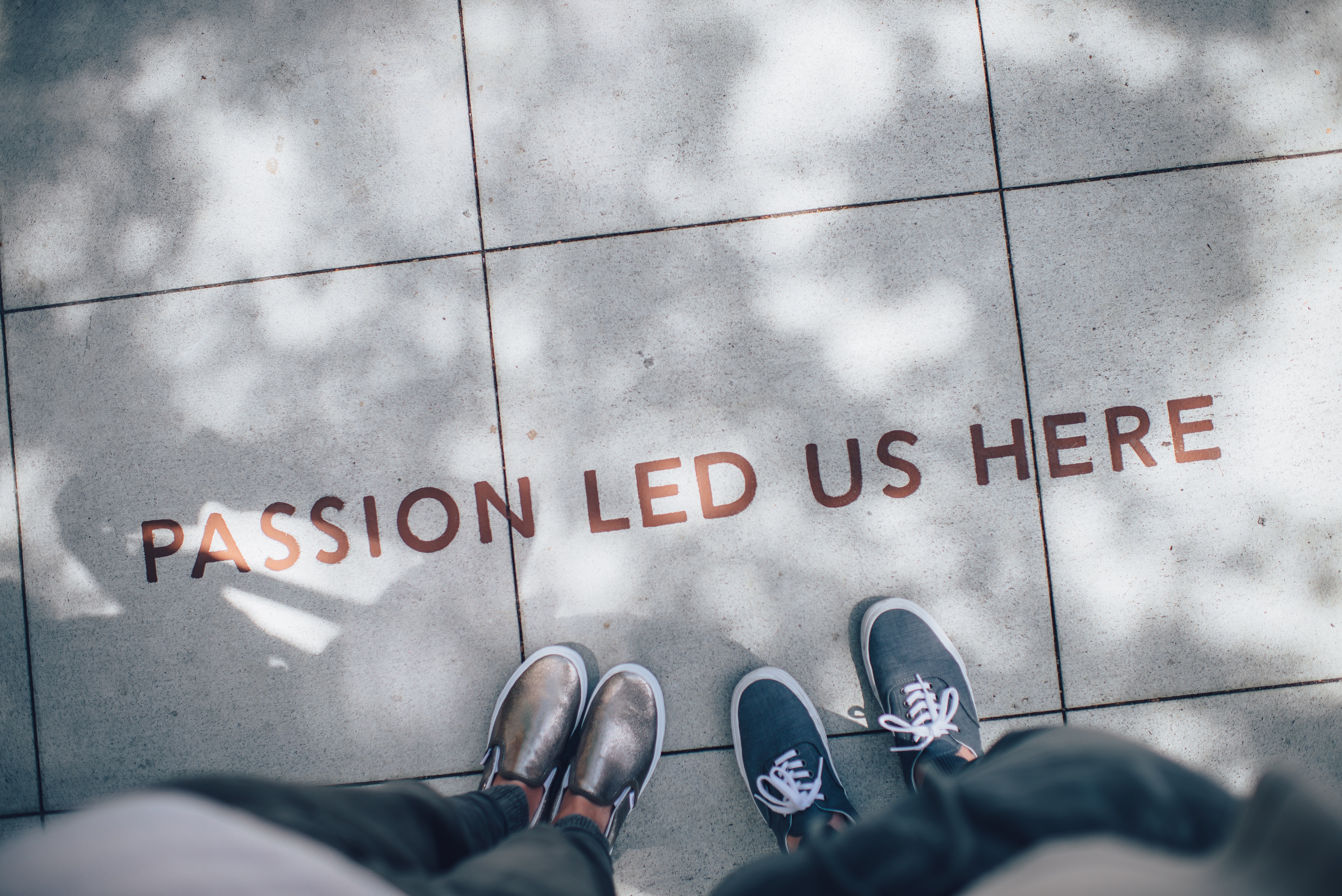 Passion leads Passion leads