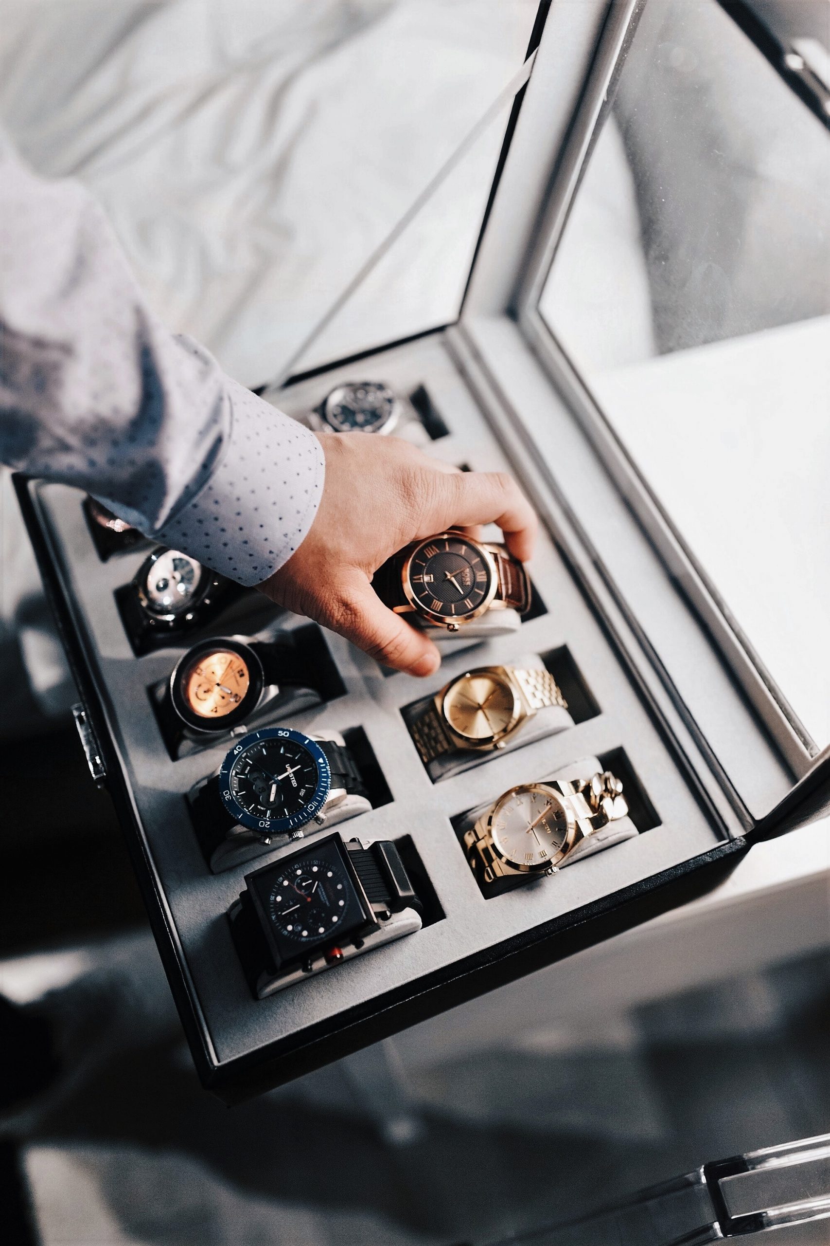 Collectibles Insurance The Importance of Protecting Your Prized