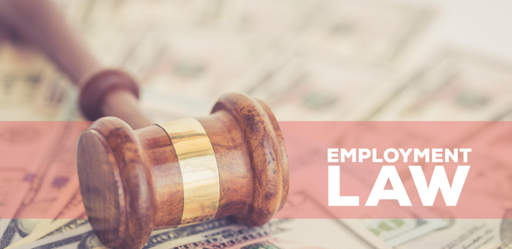 What is Employment Practice Liability Insurance?