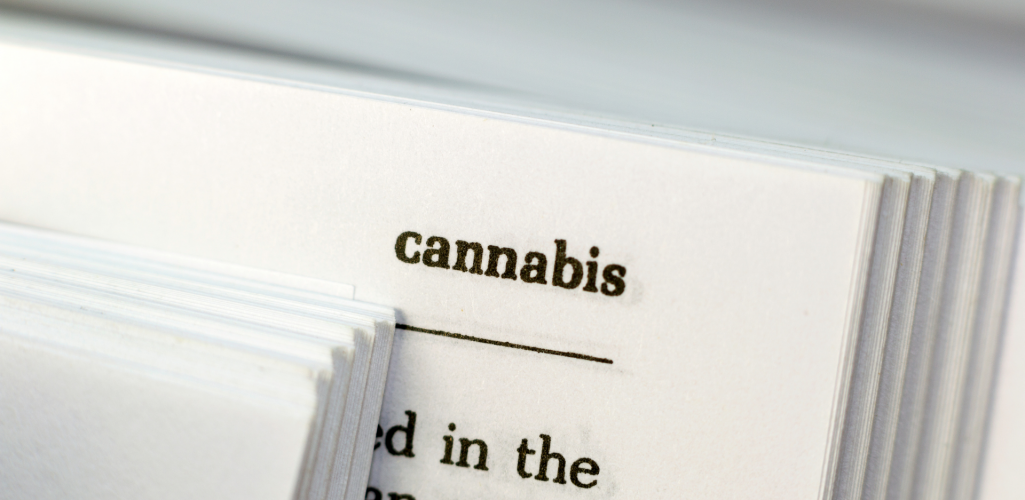 The Importance of Contract Alignment for Cannabis Operators